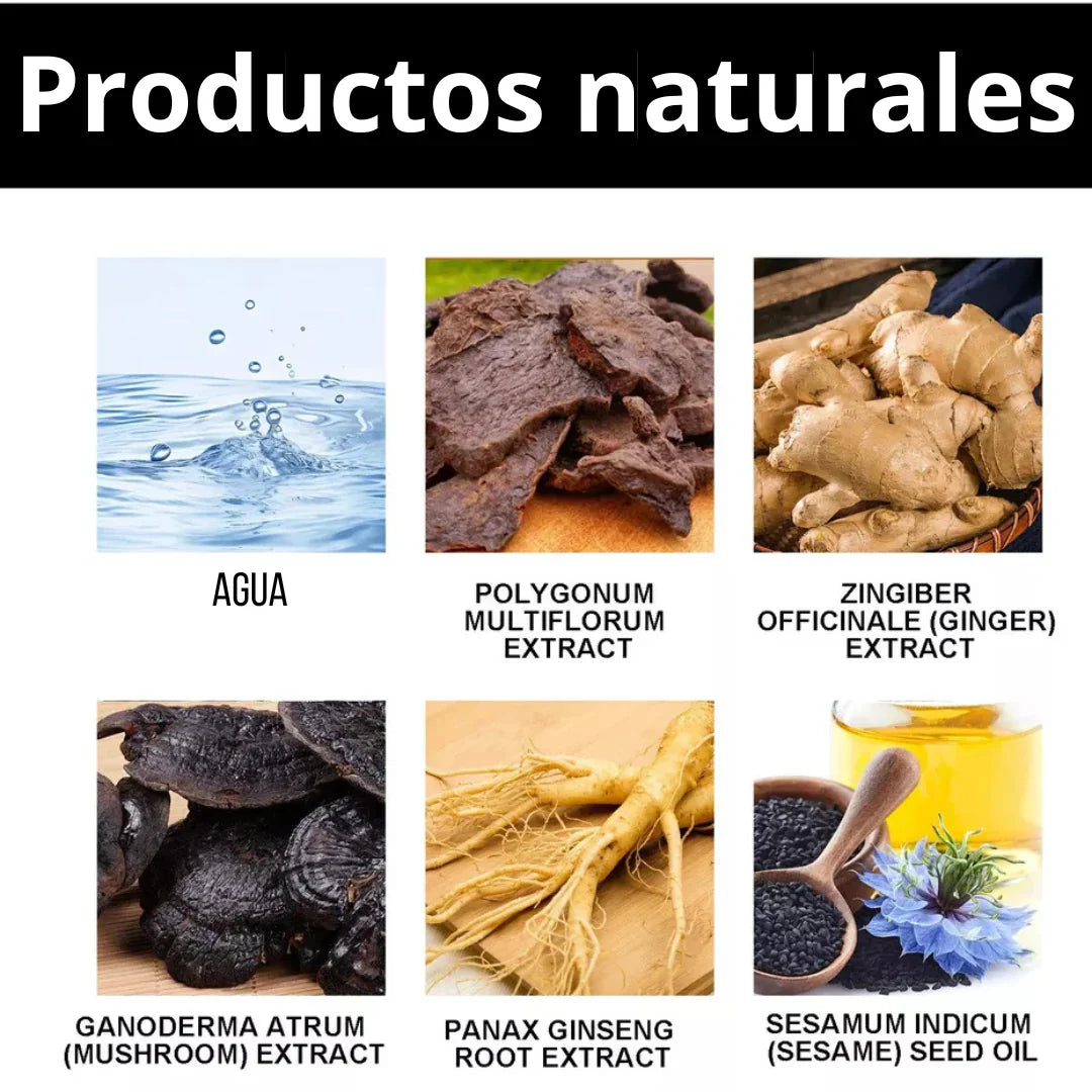 TintaCanas™ - SHAMPOO NEGRO INSTANTANEO